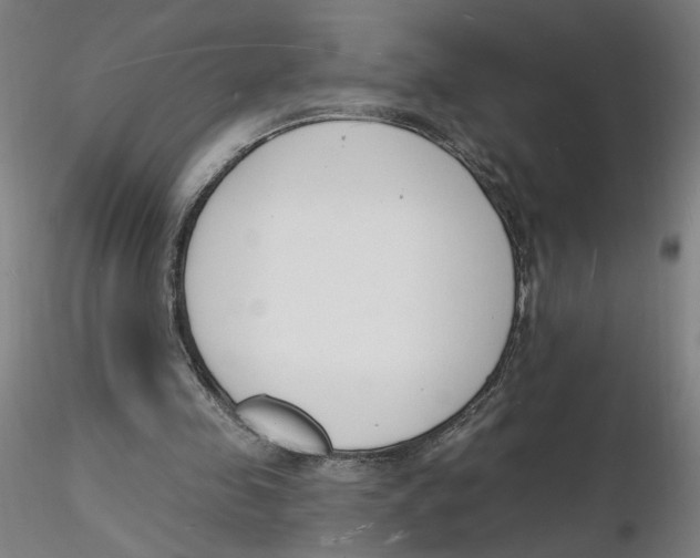 X0000116130341200912211720