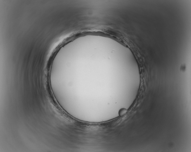 X0000116130342200912211720