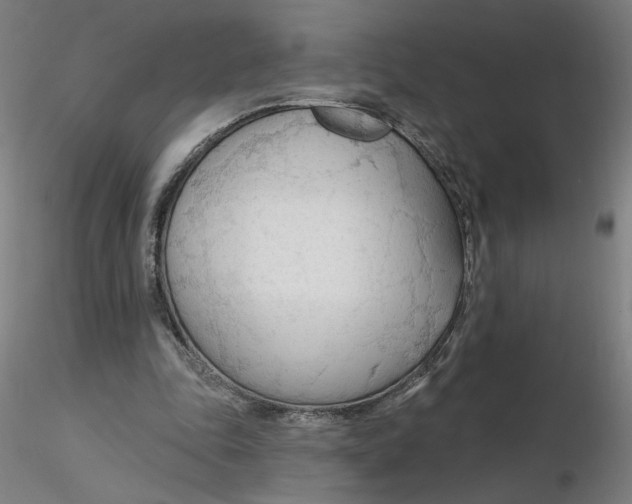 X0000116130343200912211720