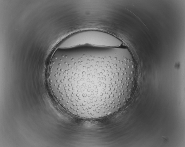 X0000116130346200912211720