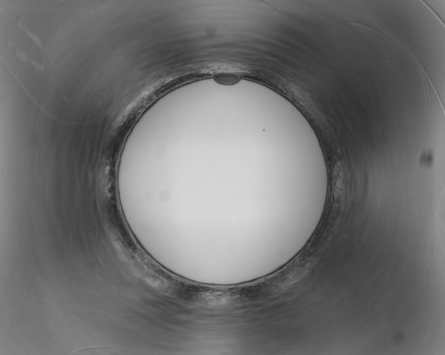 X0000116130351200912211720
