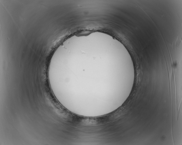 X0000116130354200912211720