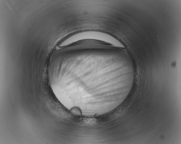 X0000116130355200912211720
