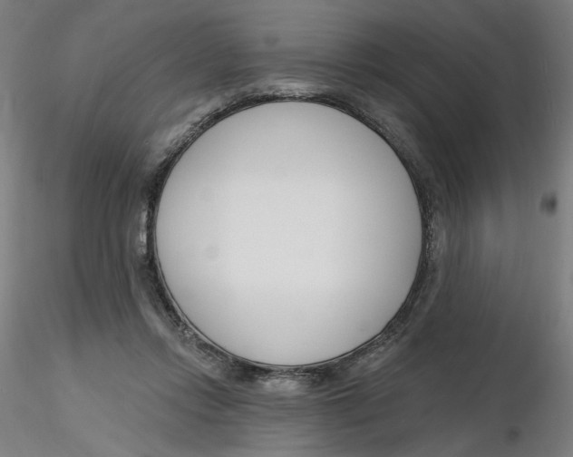 X0000116130358200912211720