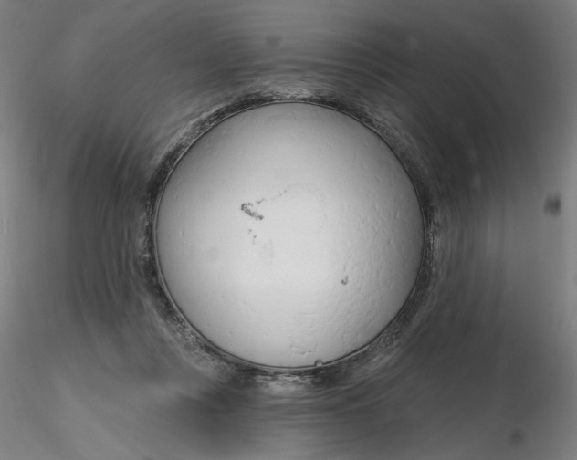 X0000116130359200912211720