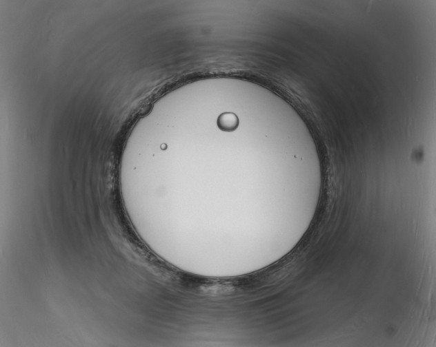 X0000116130362200912211720