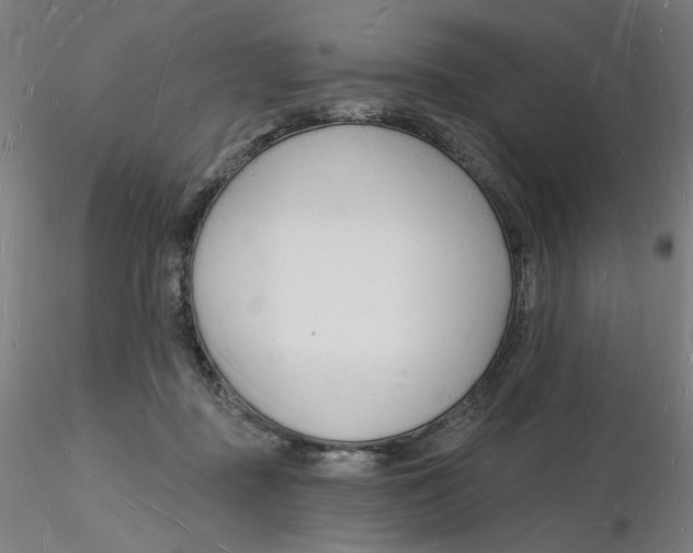 X0000116130363200912211720