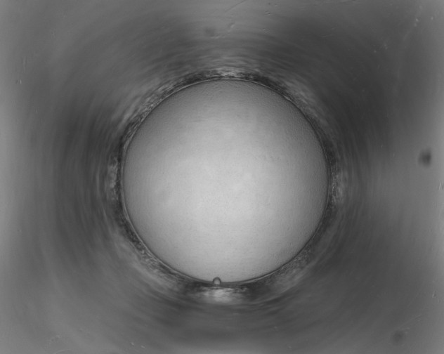 X0000116130365200912211720