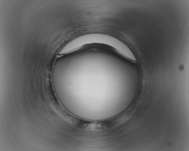 X0000116130366200912211720
