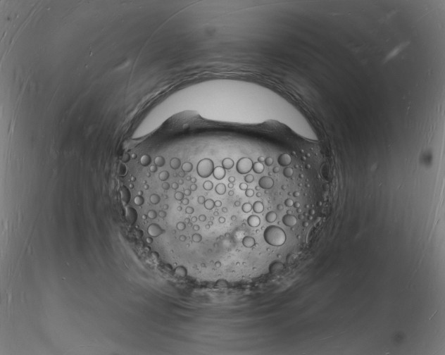 X0000116130367200912211720