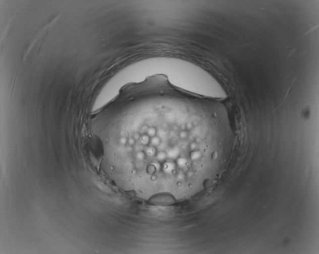 X0000116130371200912211720