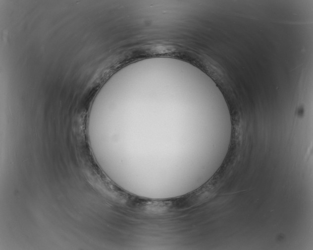 X0000116130373200912211720