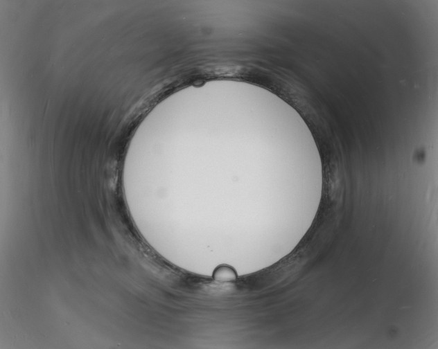 X0000116130374200912211720