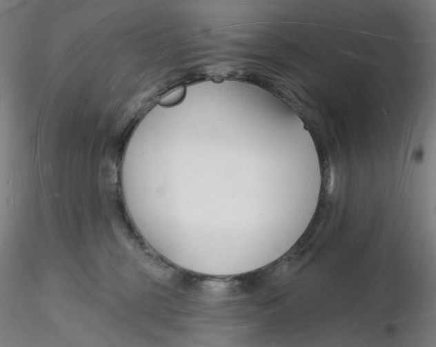 X0000116130375200912211720