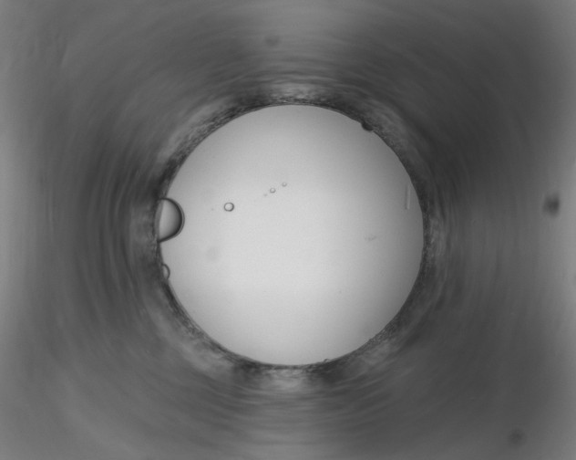 X0000116130377200912211720