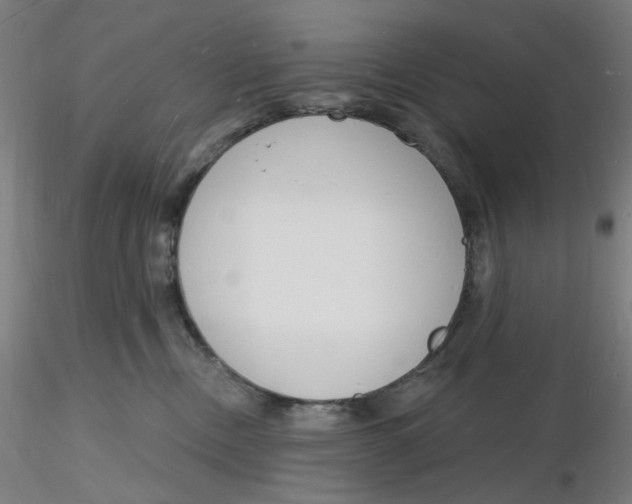 X0000116130378200912211720