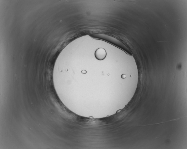 X0000116130379200912211720