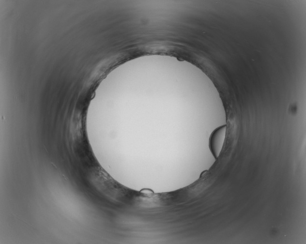 X0000116130381200912211720