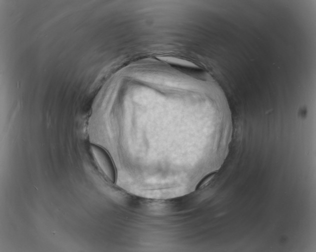 X0000116130383200912211720
