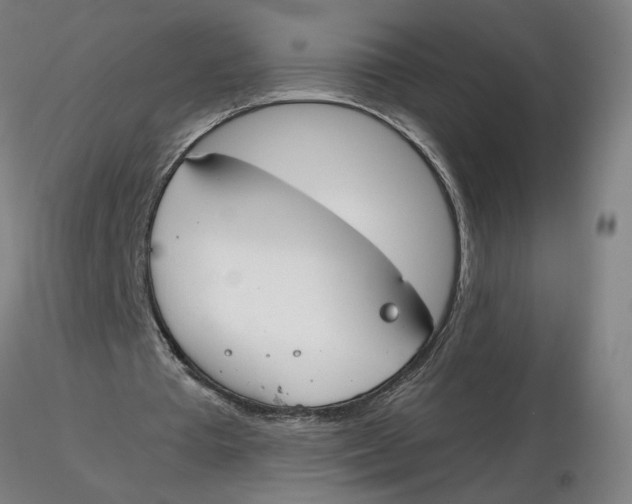 X0000116130385200912211720