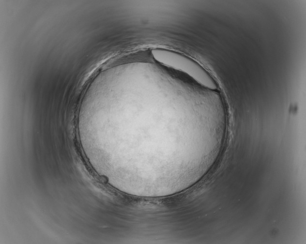 X0000116130386200912211719