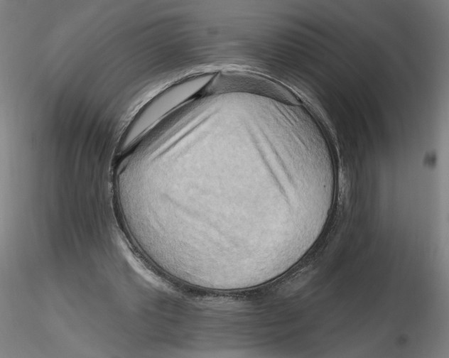 X0000116130389200912211719