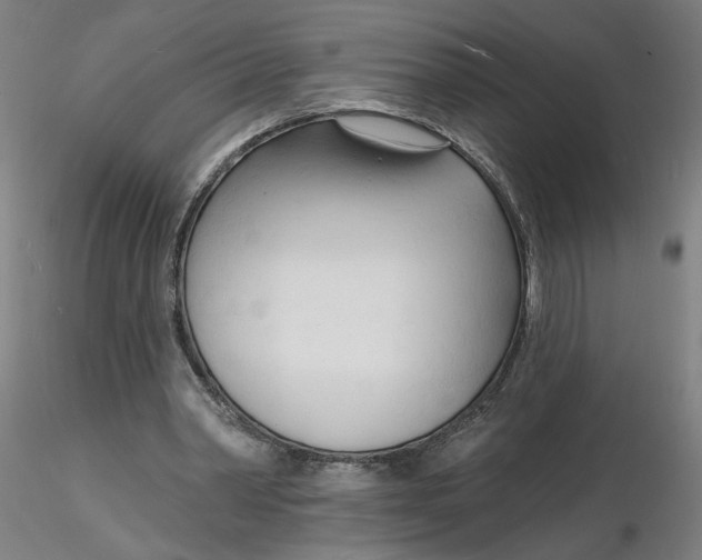 X0000116130390200912211719