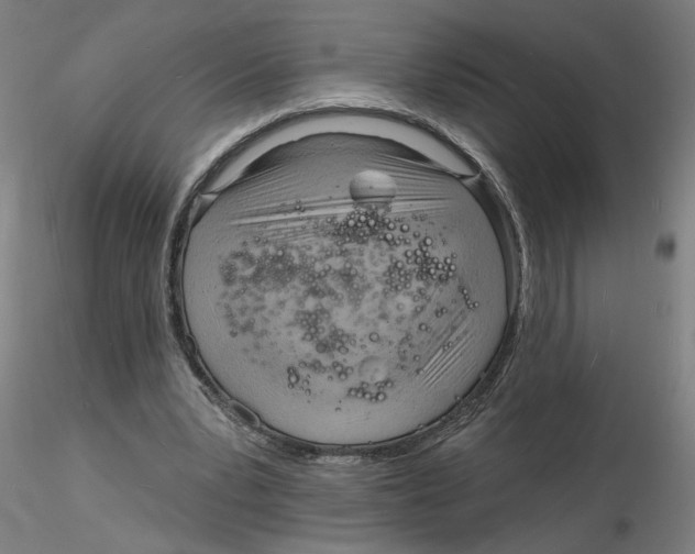 X0000116130391200912211719