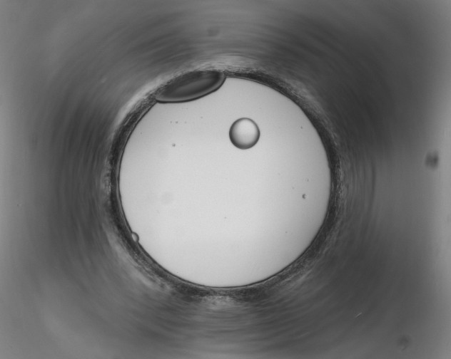 X0000116130392200912211719