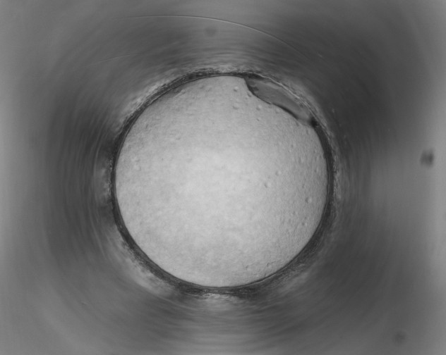 X0000116130393200912211719