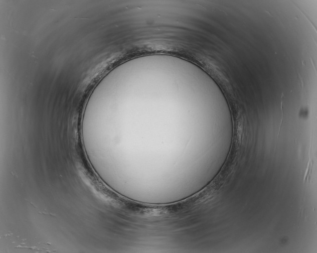 X0000116130398200912211719
