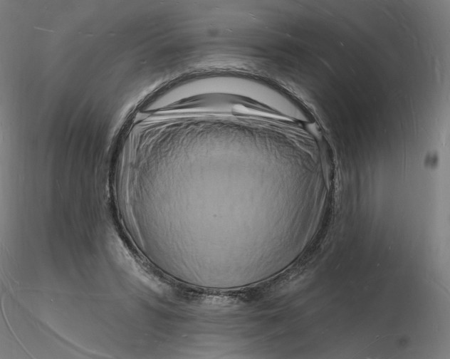 X0000116130399200912211719