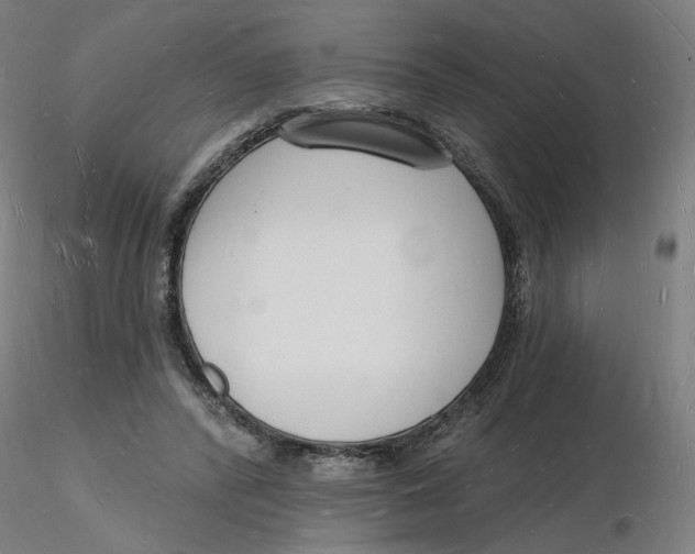 X0000116130400200912211719