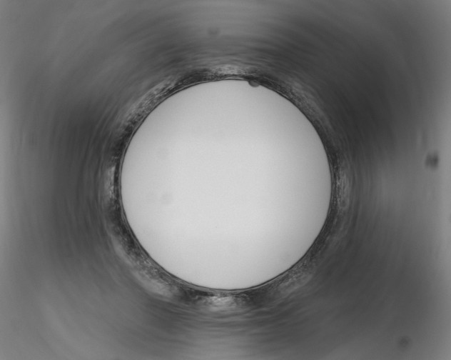 X0000116130406200912211719