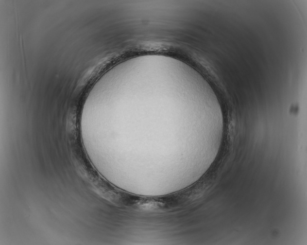 X0000116130407200912211719