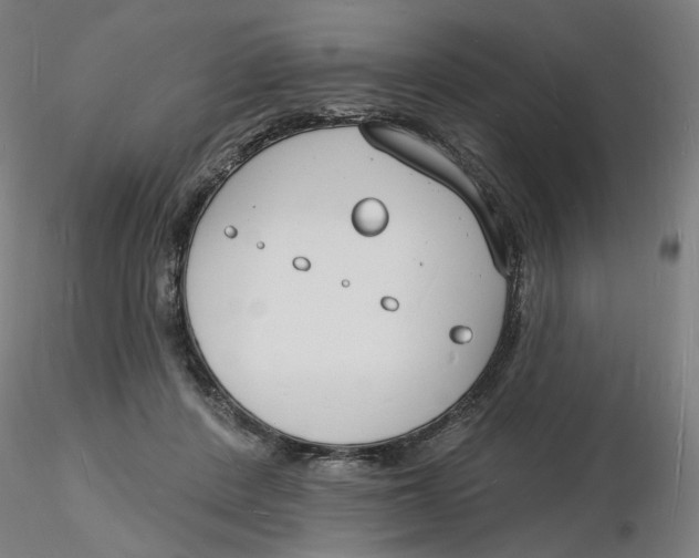 X0000116130408200912211719