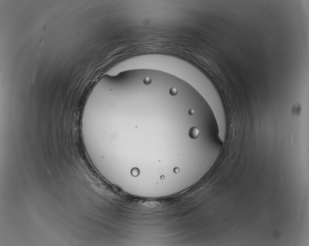 X0000116130409200912211719