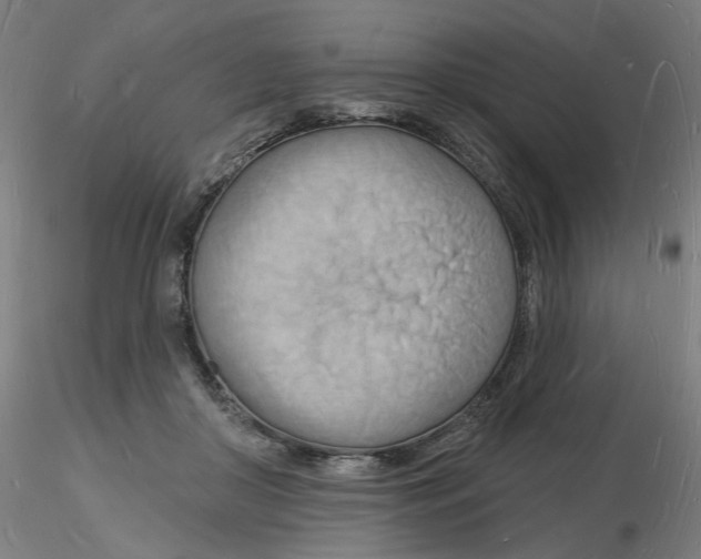 X0000116130410200912211719