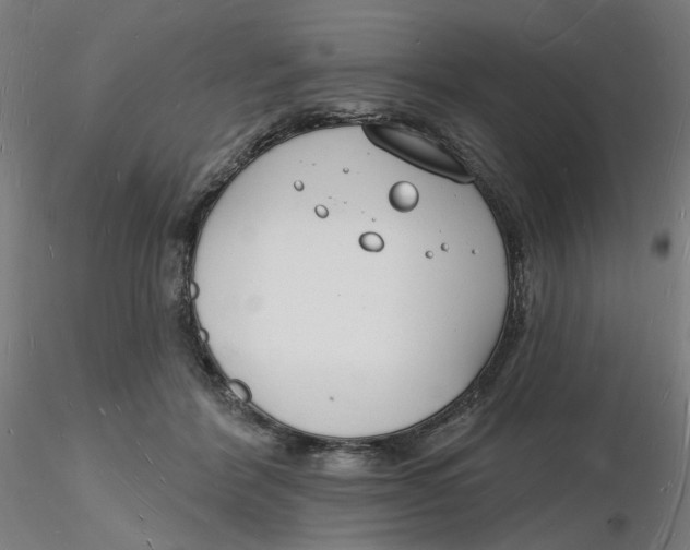X0000116130412200912211719