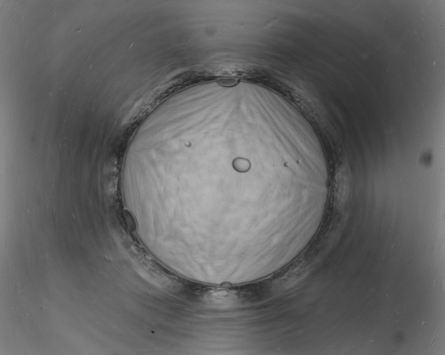X0000116130413200912211719