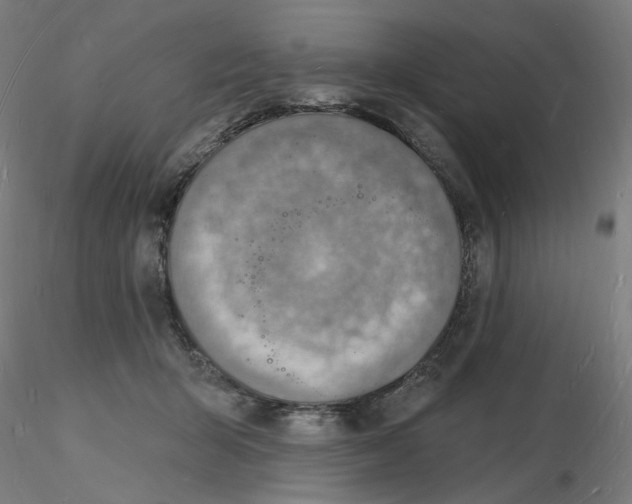 X0000116130415200912211719
