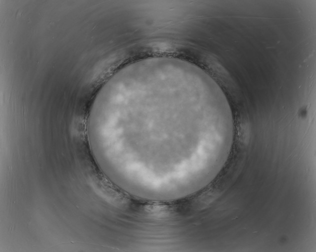 X0000116130419200912211719