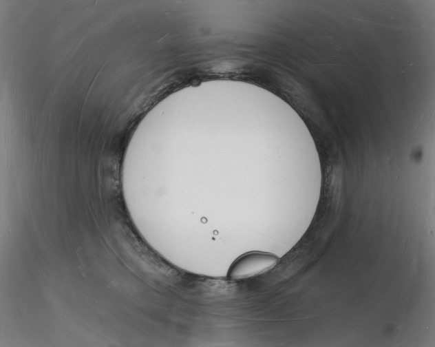 X0000116130421200912211719