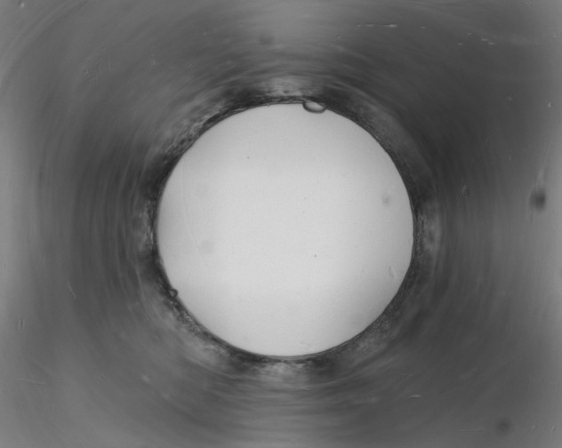 X0000116130422200912211719