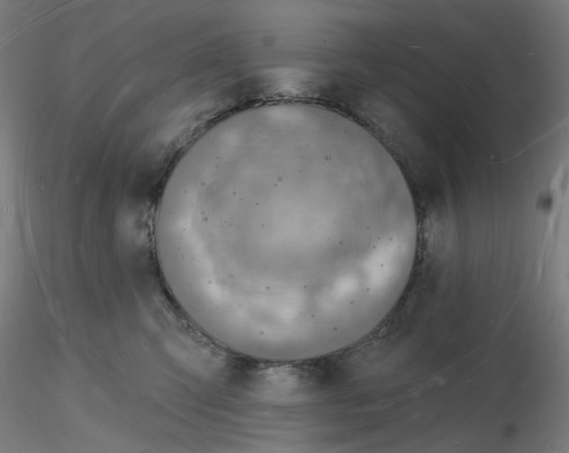 X0000116130423200912211719