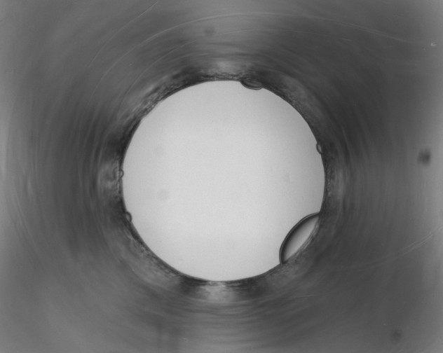 X0000116130425200912211719