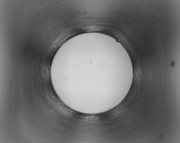 X0000116130426200912211719