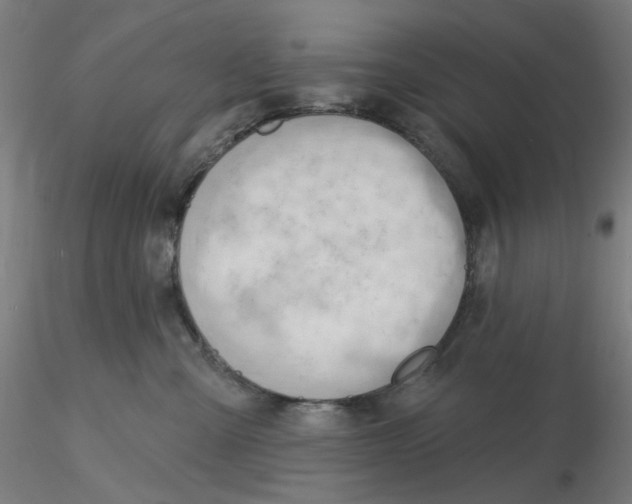 X0000116130427200912211719