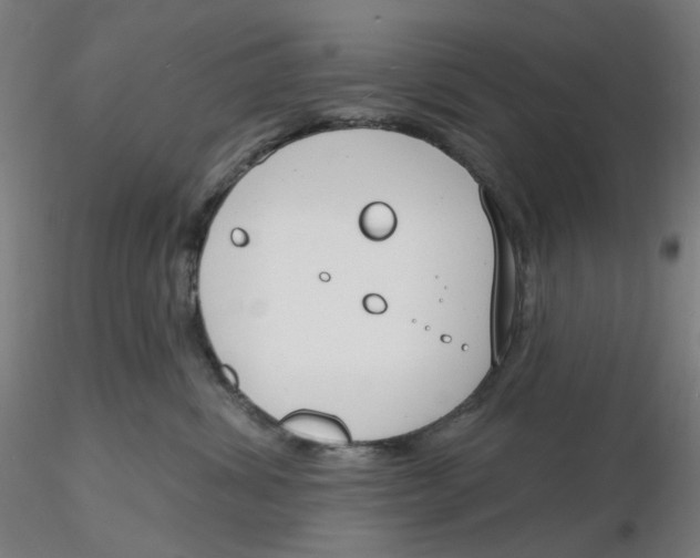 X0000116130428200912211719