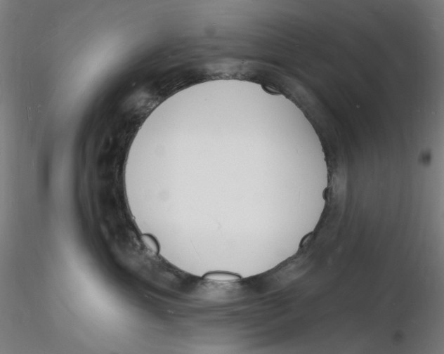 X0000116130429200912211719
